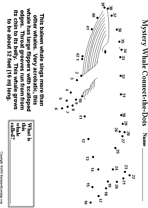 Search result: 'Humpback Whale Connect-the-Dots'