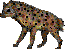 Hyena