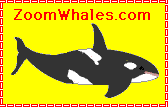 Zoom Whales