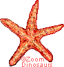 Sea Star