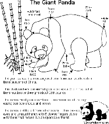 Panda (Labeled)