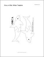 Orca or Killer Whale Template