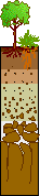 Soil Layers