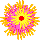 Flower Paper Plate Craft