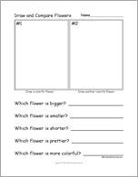 Draw and Compare Flowers