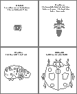 Ladybug Life Cycle Sequencing Cards