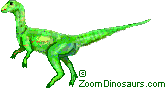 Othnielia Fact Sheet