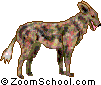 Cape Hunting Dog Printout