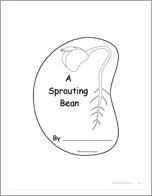 Sprouting Bean Shape Book