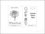 Summer Colors Book