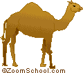 Bactrian Camel Printout