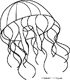 Label the Words that Start with J