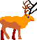 Reindeer