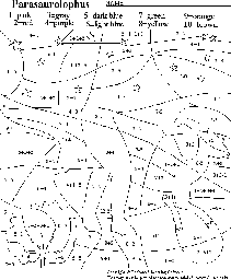 Parasaurolophus Math Coloring Activity