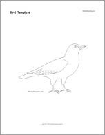 Bird Template