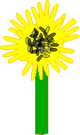 Sunflower Craft