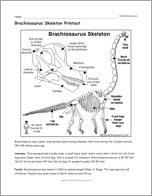 Brachiosaurus Skeleton Printout