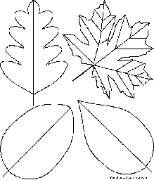 Label the Words that Start with L