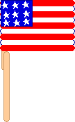 Craft Stick Flag