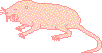 Naked Mole-Rat Printout