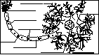 Small neuron label me image