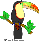 Toucan