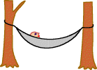 Hammock