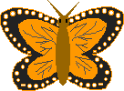 Butterfly Card Craft