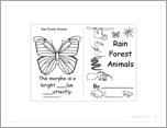 Rainforest Animals Book