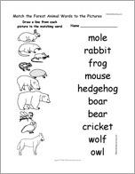 Match the Forest Animal Words to the Pictures