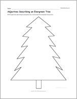 Adjectives Describing an Evergreen Tree