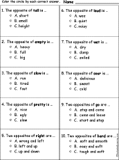 Opposites - Multiple Choice Quiz #2