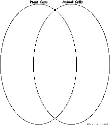 Plant and Animal Cells Venn Diagram