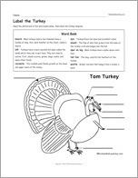 Label the Turkey