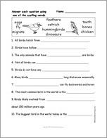 Bird Spelling Word Questions