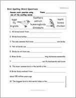 Bird Spelling Word Questions