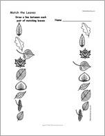 Match the Leaves