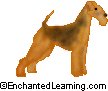 Airedale Terrier