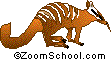 Numbat (Banded Anteater) Printout