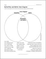 Butterflies and Moths Venn Diagram