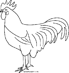 Rooster Printout