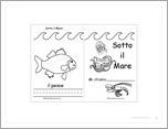 Sotto il Mare/Under the Sea Book