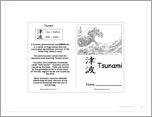 Tsunami Book