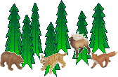 Animaux de la Forêt