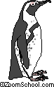 penguin