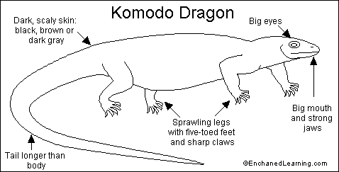 Search result: 'Komodo Dragon Read-and-Answer Quiz'