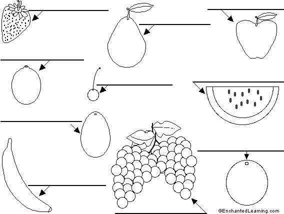 Label the fruit in Arabic