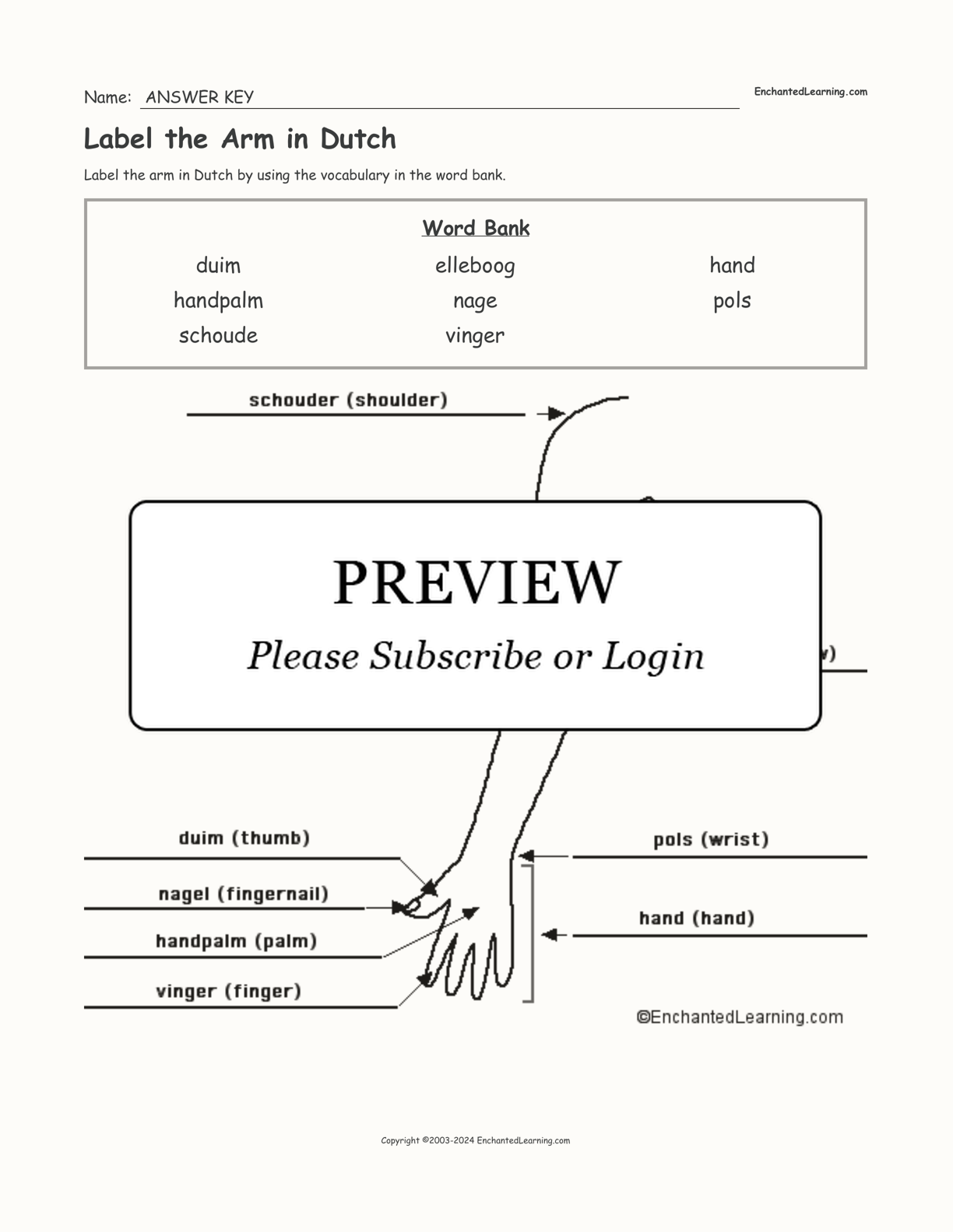 Label the Arm in Dutch interactive worksheet page 2