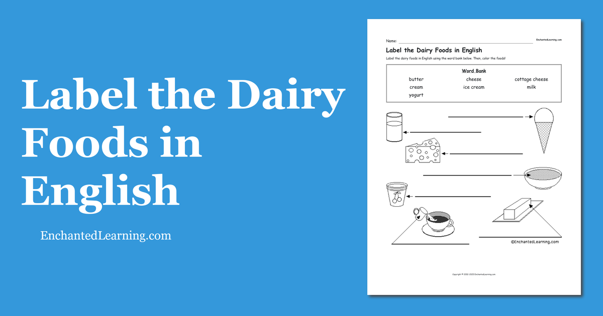 Label the Dairy Foods in English Enchanted Learning