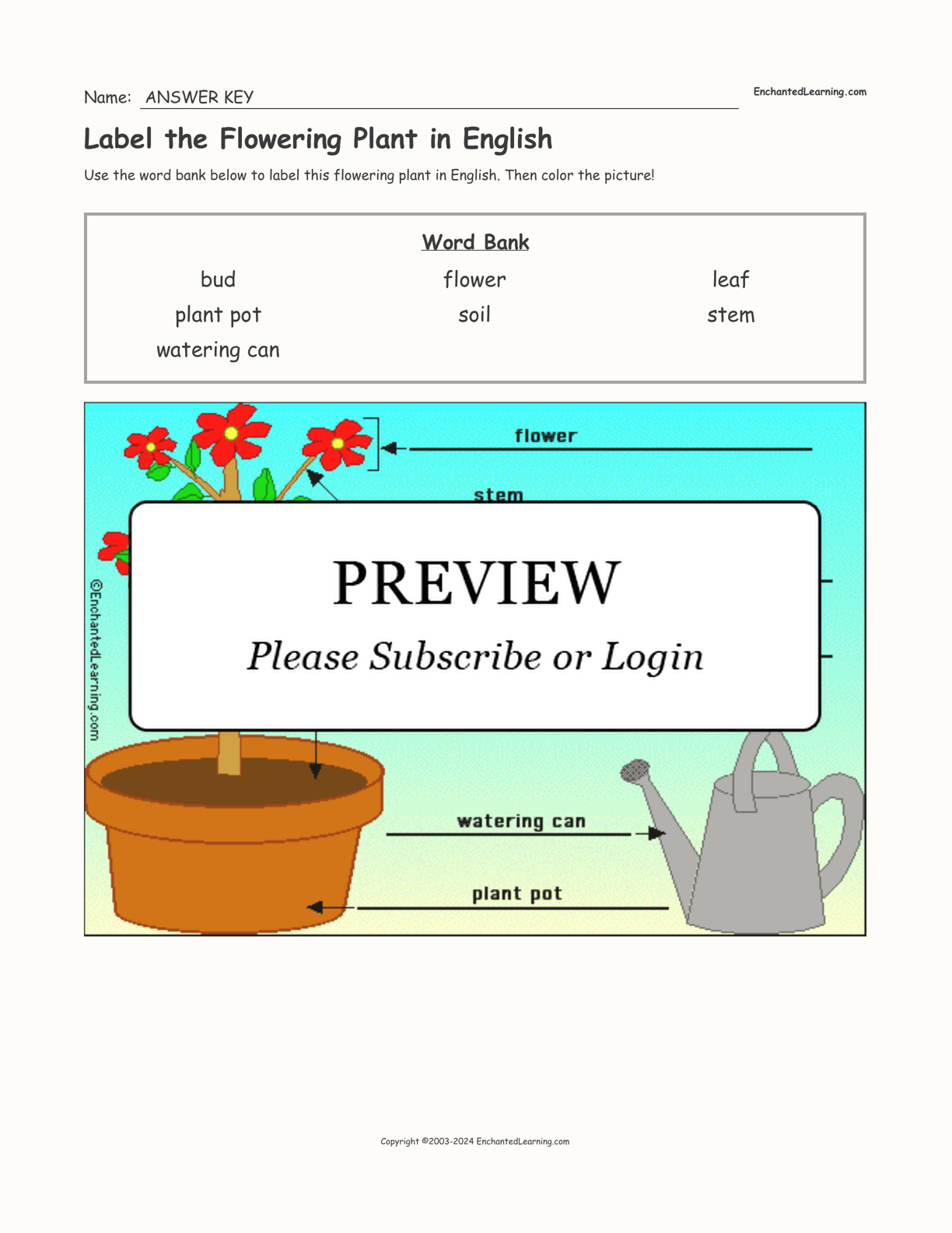 Label the Flowering Plant in English interactive worksheet page 2
